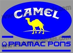 3 Colour CAMEL PRAMAC PONSl decal